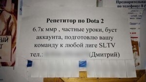 Чел зарабатывает до 120к рублей в месяц на репетиторстве по Dota 2