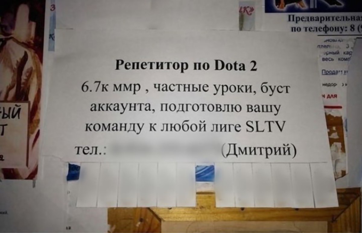 Чел зарабатывает до 120к рублей в месяц на репетиторстве по Dota 2 Чел зарабатывает до 120к рублей в месяц на репетиторстве по Dota 2