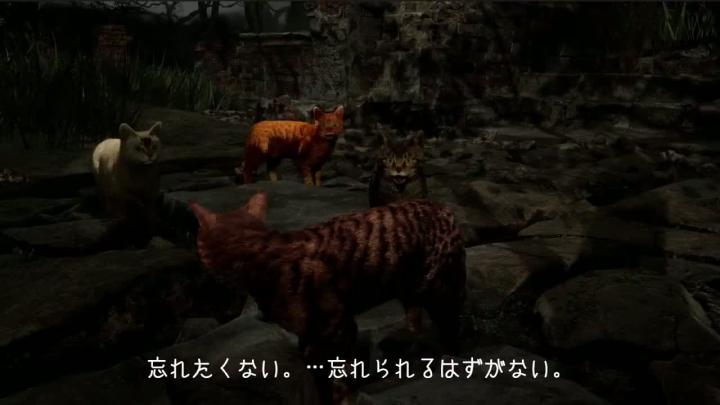 В Steam выйдет Silent Hill про котика – хоррор Meowmories В Steam выйдет Silent Hill про котика – хоррор Meowmories