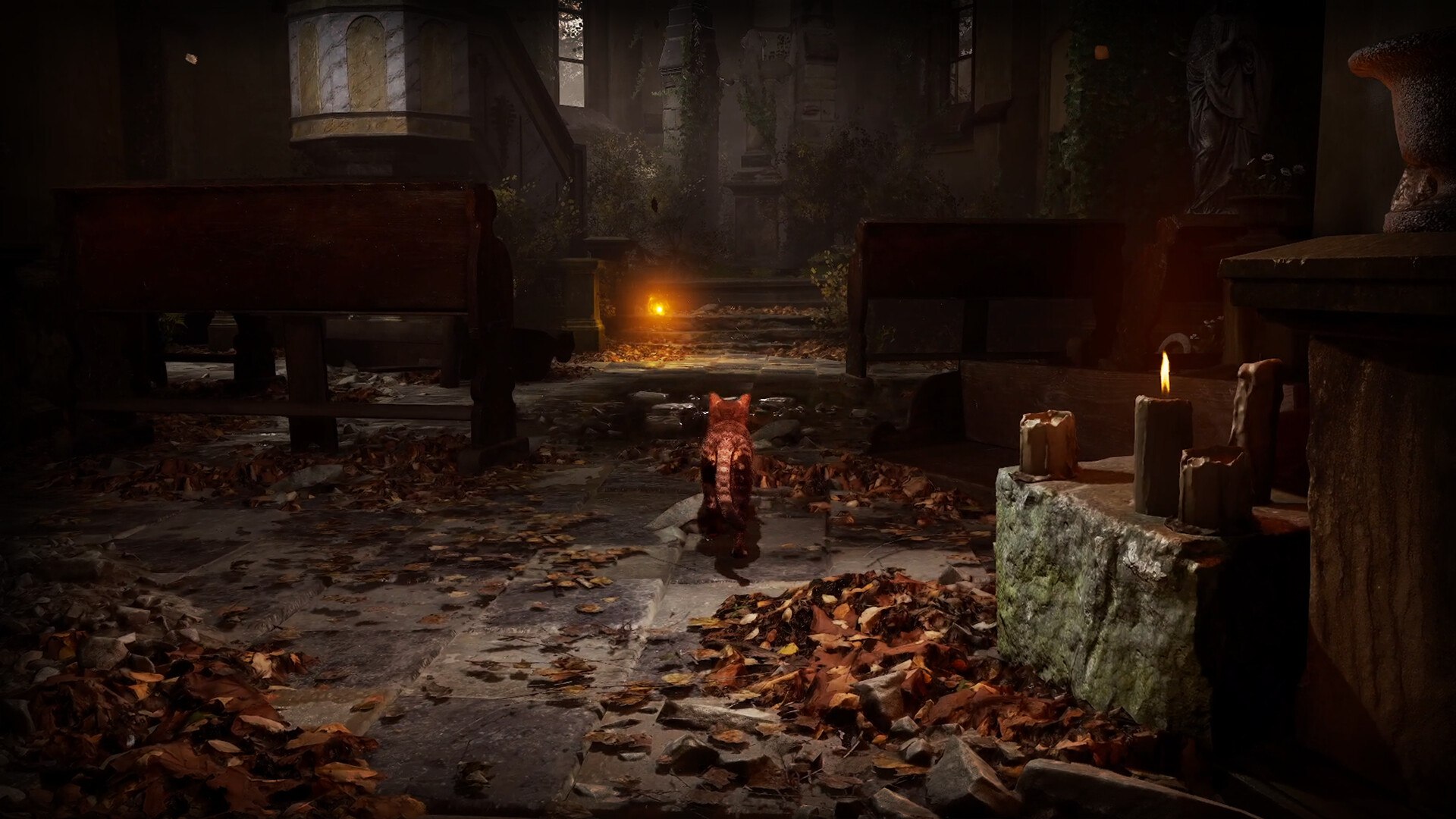 В Steam выйдет Silent Hill про котика – хоррор Meowmories В Steam выйдет Silent Hill про котика – хоррор Meowmories