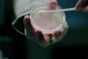 ️Стартовал сериал от автора «Во все тяжкие» и «Лучше звоните Солу» Винса Гиллигана — «Из многих»