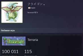 Японец наиграл в Terraria 100 000 часов