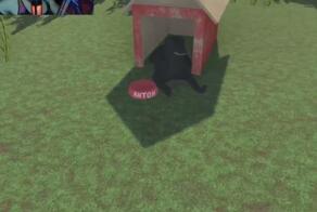 Антоны все такие?