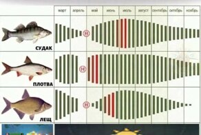 Рыбаки, сохраняйте лайфхак