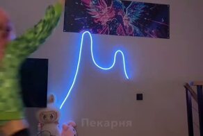 Саня, ты чего