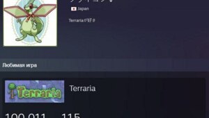 Японец наиграл в Terraria 100 000 часов