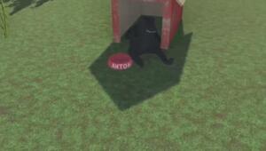 Антоны все такие?