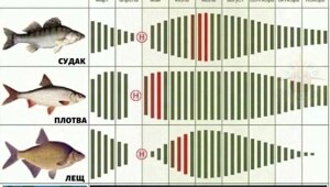 Рыбаки, сохраняйте лайфхак
