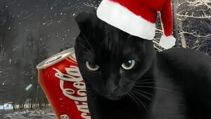 Готовимся к зиме правильно