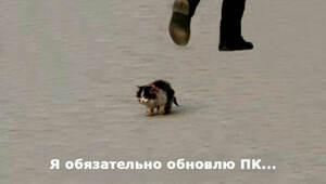 Помянем сборочки