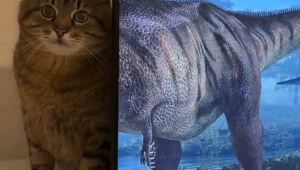 Обнаружен единственный уцелевший вид динозавров – кусецараптор