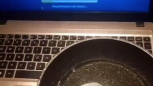 +1 причина купить ноутбук