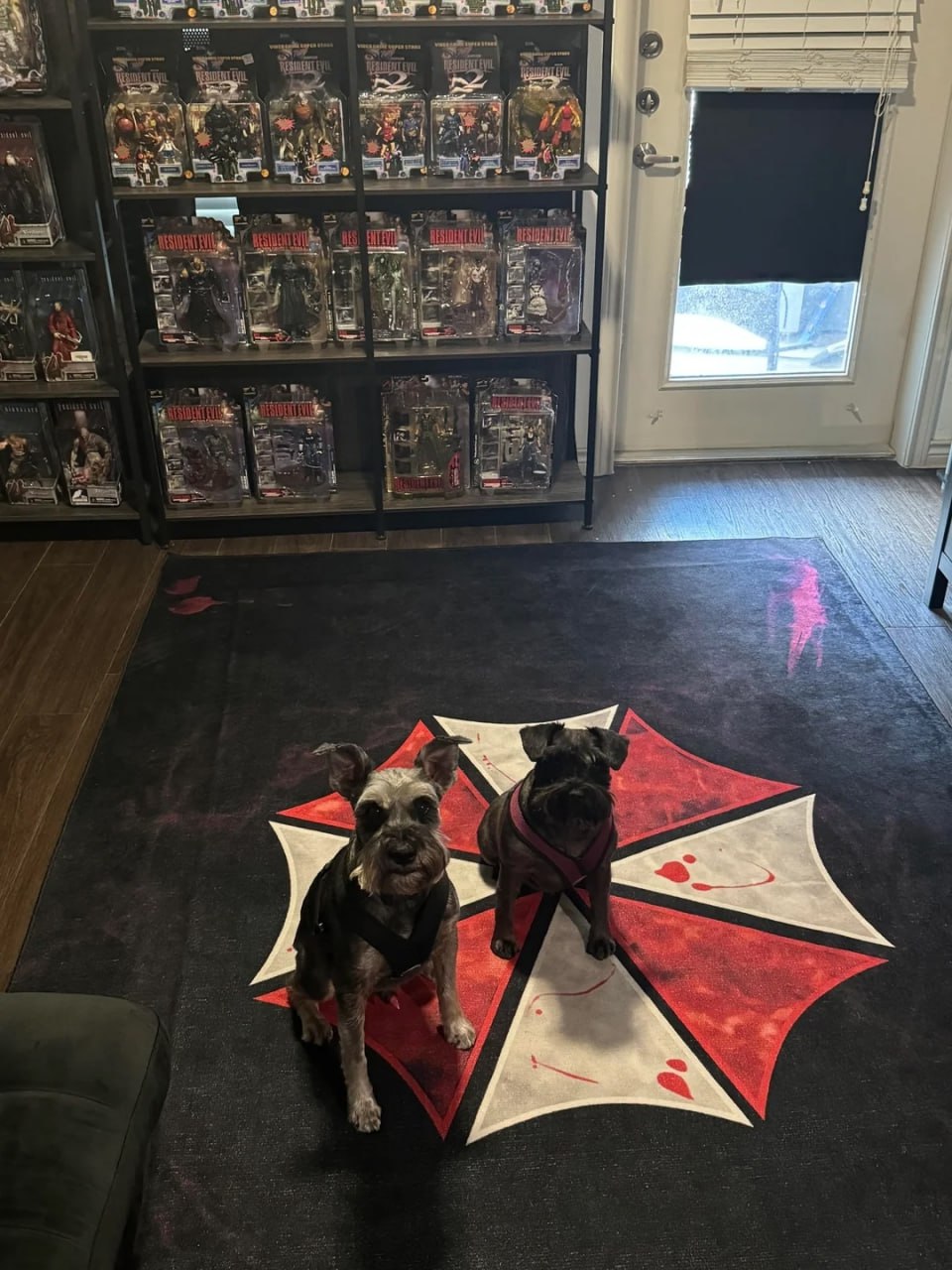 Фанат Resident Evil показал свою комнату, которую собирал и обставлял годами