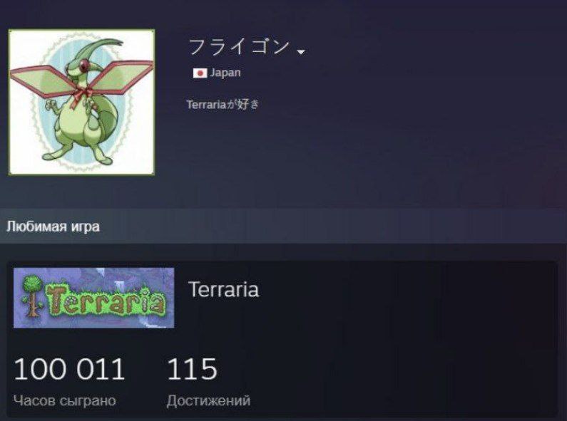 Японец наиграл в Terraria 100 000 часов