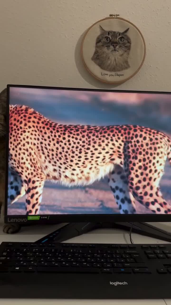 Технологии вышли на новый уровень